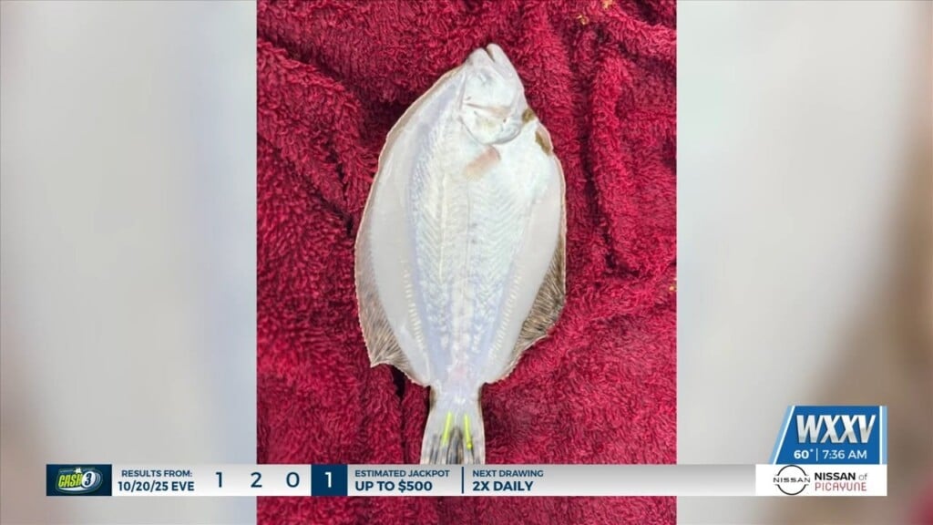 Ms Department Of Marine Resources Shares Hatchery Bureau Update
