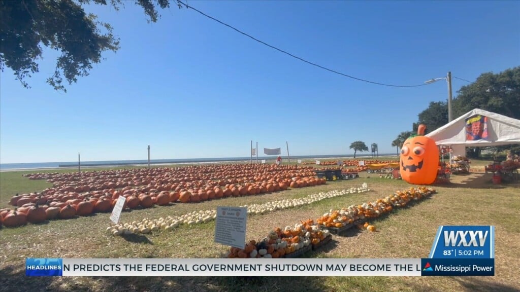 Annual Trinity Episcopal Pumpkin Patch Returns To The Coast