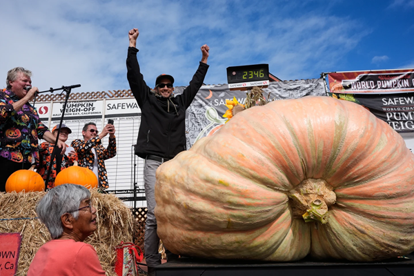 Pumpkin