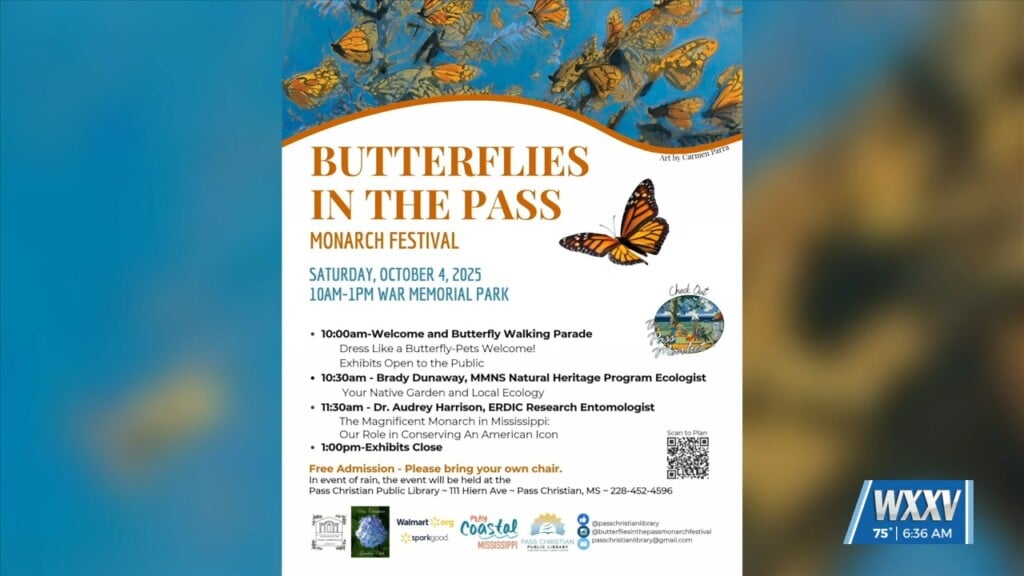 Butterflies In The Pass Happening Saturday