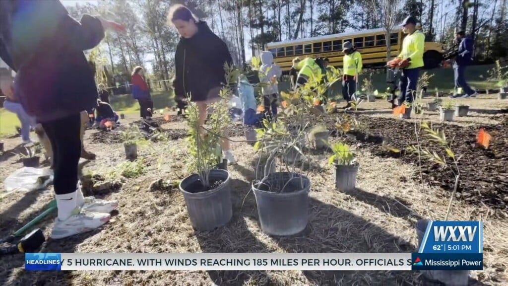 Local Students Take Part In Microhabitat Planting Event