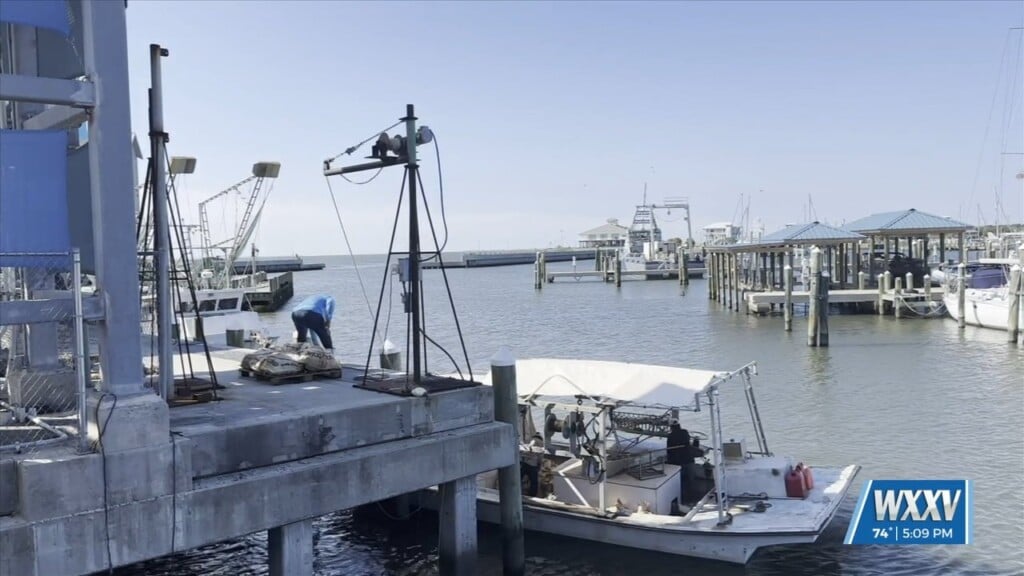 Temporary Stop On Leasing Plan Of 80 Percent Of Oyster Reefs