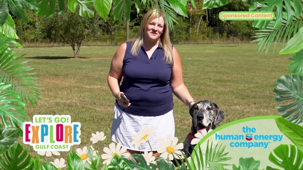 Let's Go! Explore Gulf Coast Fetch Dog Park