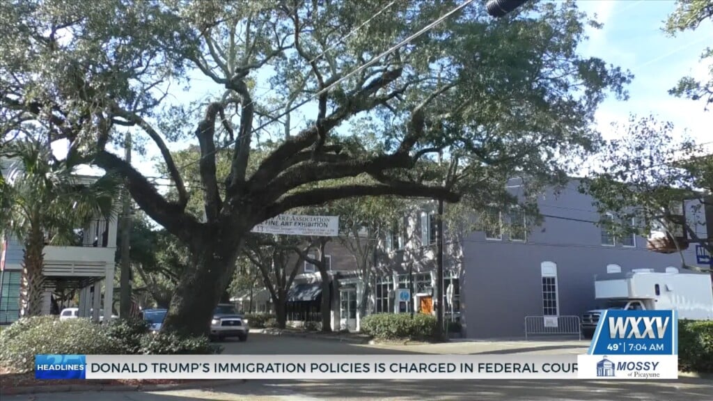 Ocean Springs Preparing For 47th Annual Peter Anderson Festival