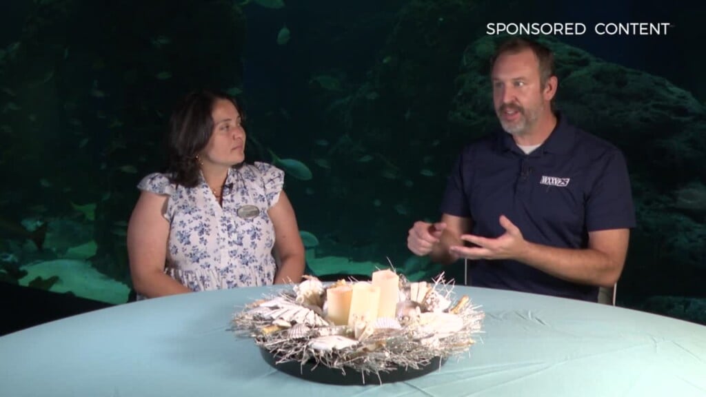 Wild Wonders Planning An Event