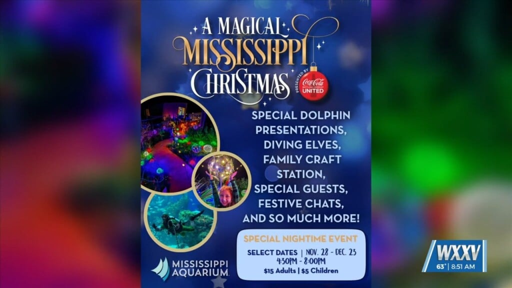 Mississippi Aquarium Prepares For Magical Mississippi Christmas