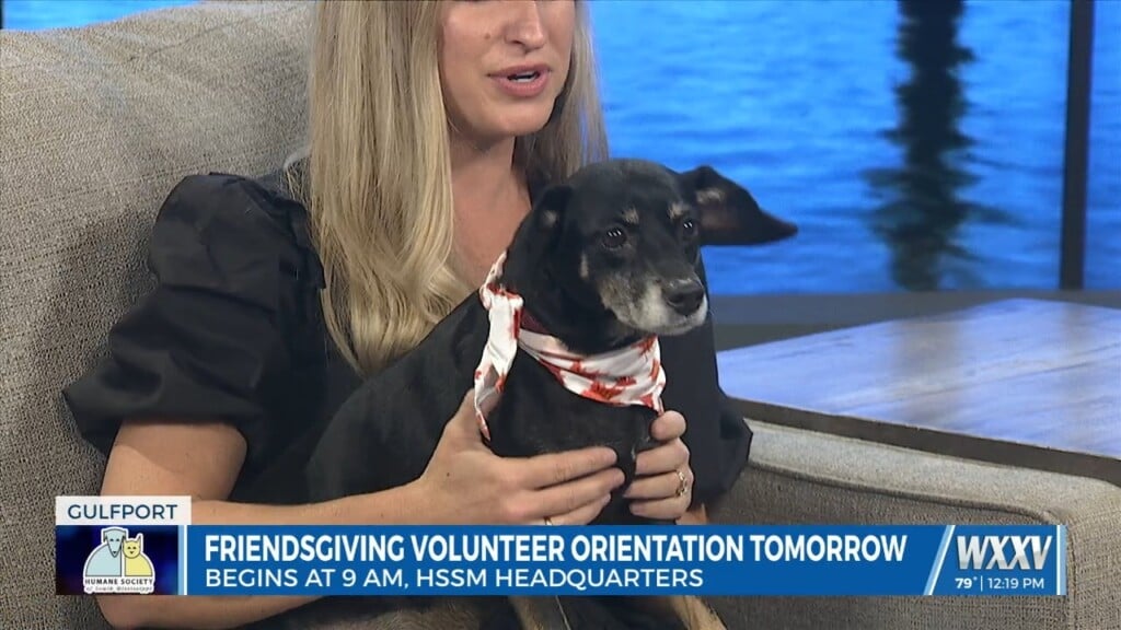 Hssm Friendsgiving Volunteer Orientation Begins Saturday