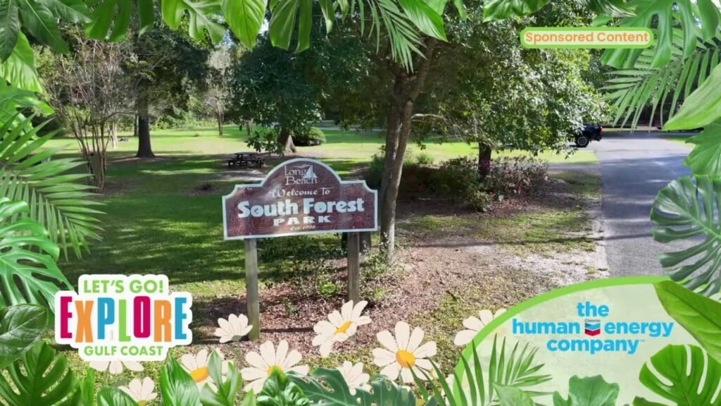 Let's Go! Explore Gulf Coast South Forest/pecan Park