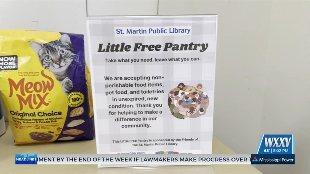 Jackson George Libraries Launch Free Pantries