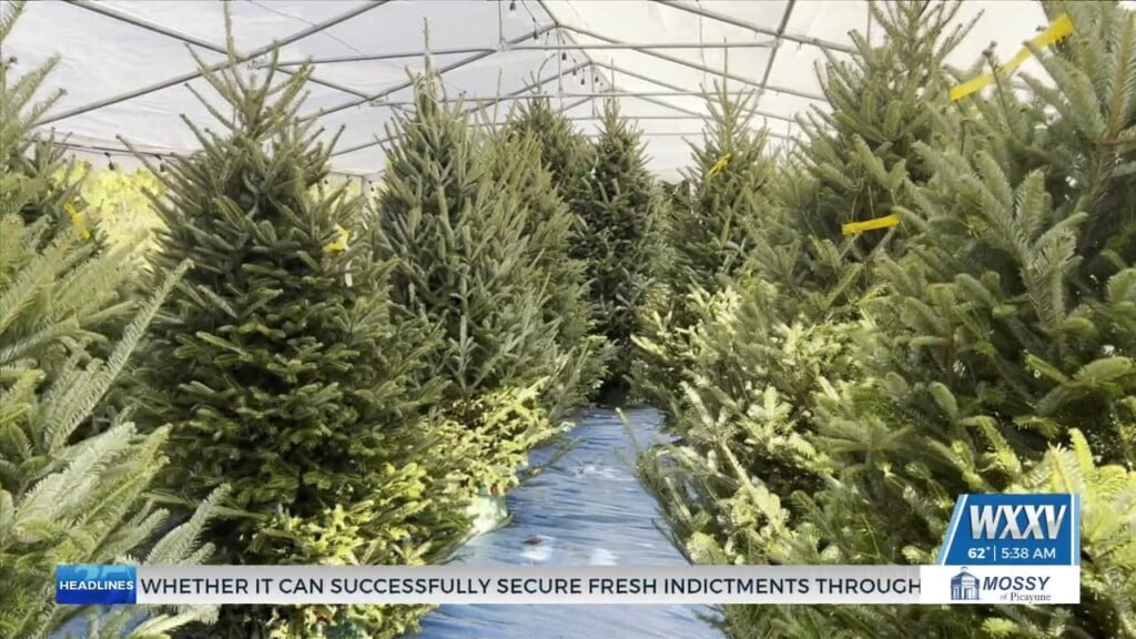 Biloxi Church Sells Christmas Trees To Change Children's Lives