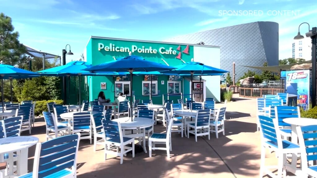 Wild Wonders Pelican Point Cafe