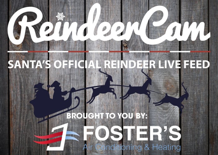 Reindeercam