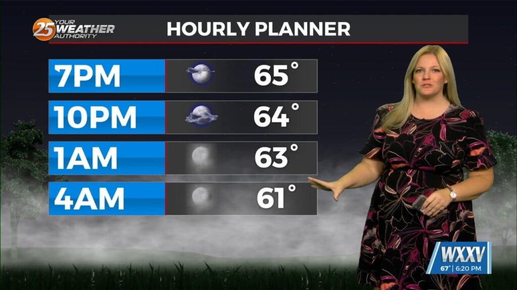 Warm And Foggy Again