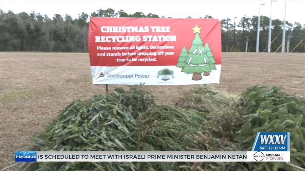 Locations Across The Coast Offer Christmas Tree Recycling