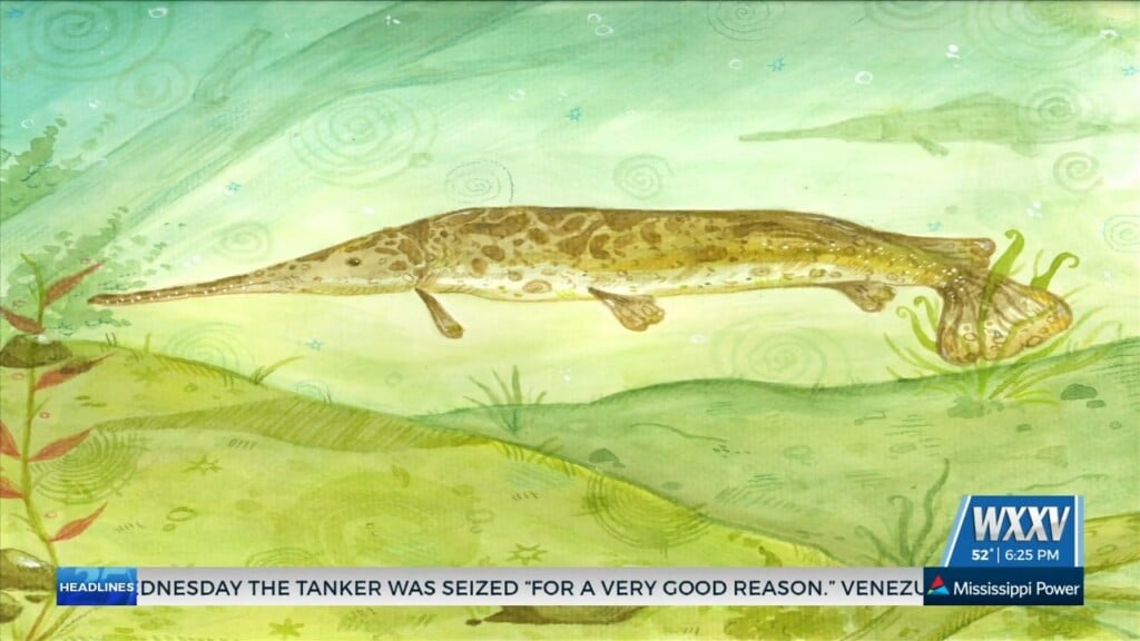 Wildlife Forever Art And Essay Competition