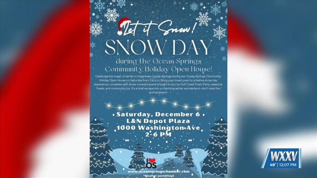 Snow Day In Ocean Springs