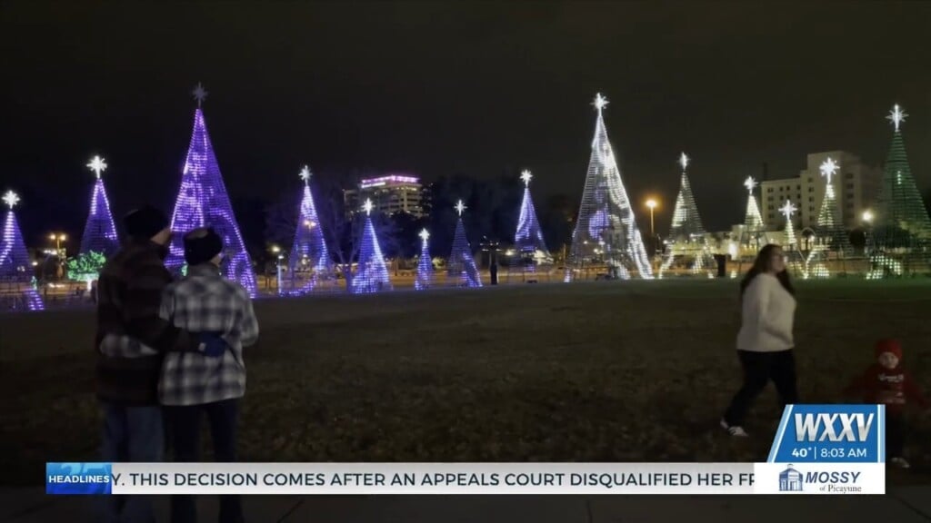 Gulfport Harbor Lights Fest Sees More Than 18k Attendees In Just Over One Week