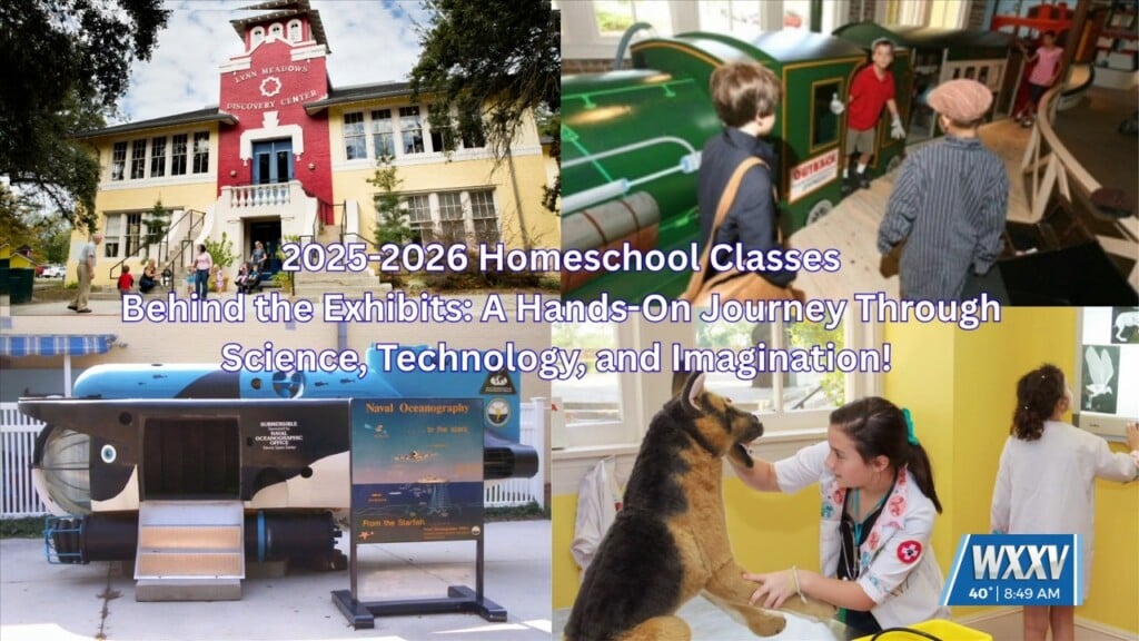 Lynn Meadows Hosting Homeschool Classes