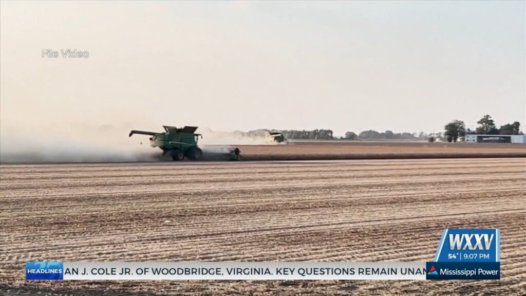 Congressional Leaders Urge Action On Eu Trade Relating To State’s Forestry Industry