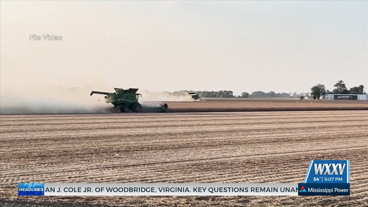 Congressional leaders urge action on EU trade relating to state’s forestry industry