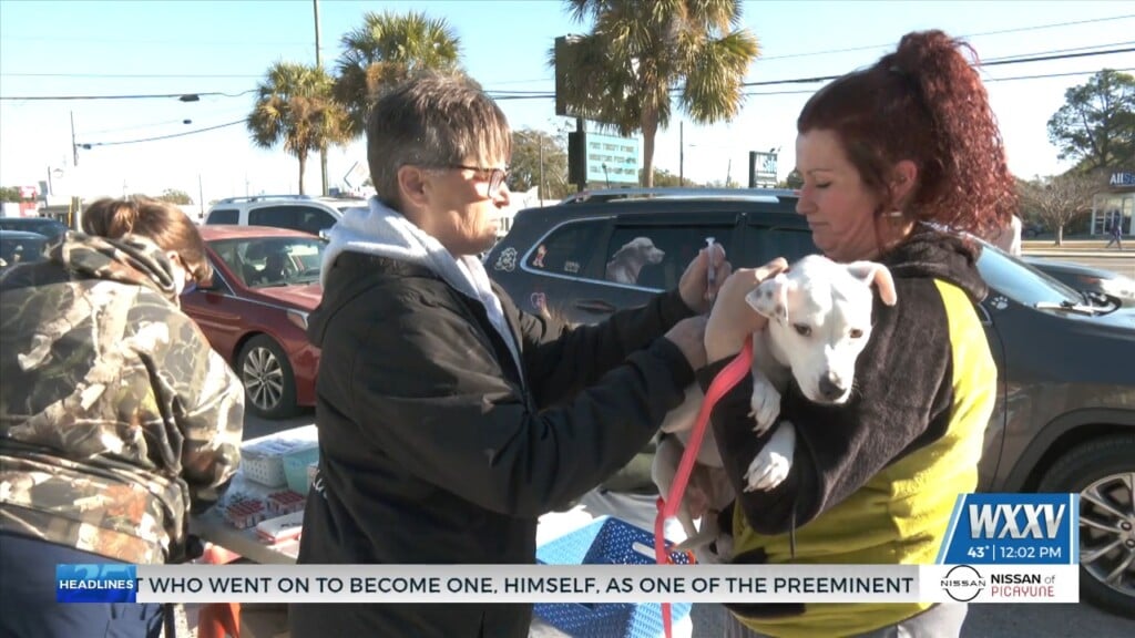 Hssm Helping Pets At The Holiday Vaccine Clinic