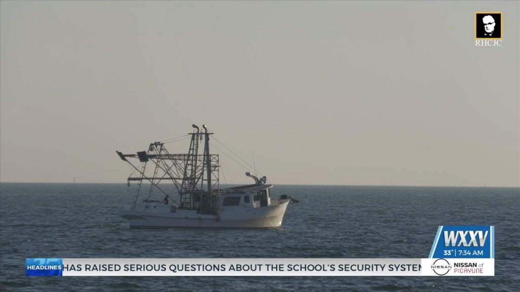 Mississippi Shrimpers Continue Push For Clearer Seafood Labeling