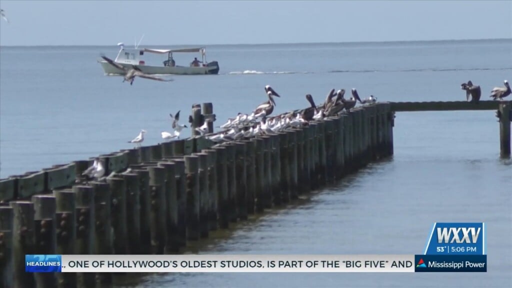 Annual Tidelands Fund Transfer To Dmr