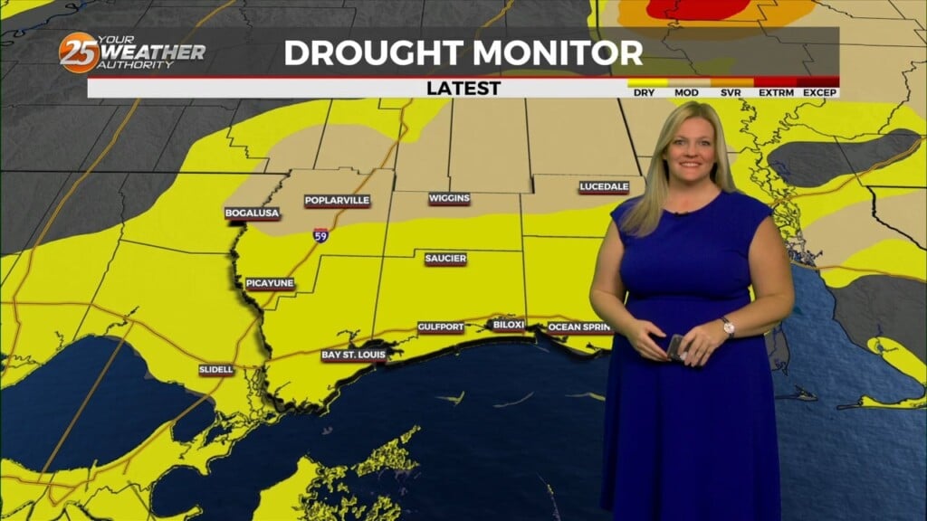 A Few Rain Chances Return