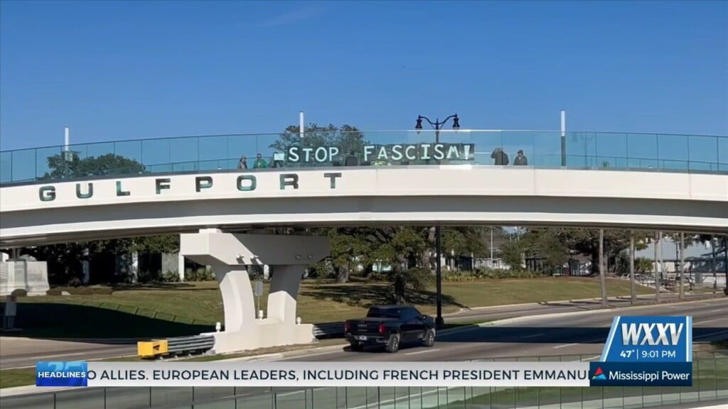 Small Protest Against Trump Administration In Gulfport