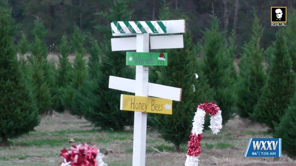 2025 Was A Better Year For Christmas Tree Farms In Mississippi