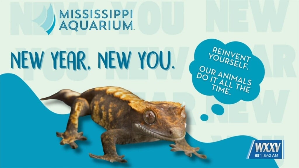 Weekend Programs At The Mississippi Aquarium