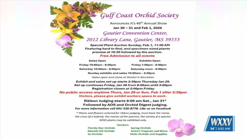 Gulf Coast Orchid Society Hosting 46th Annual Orchid Show