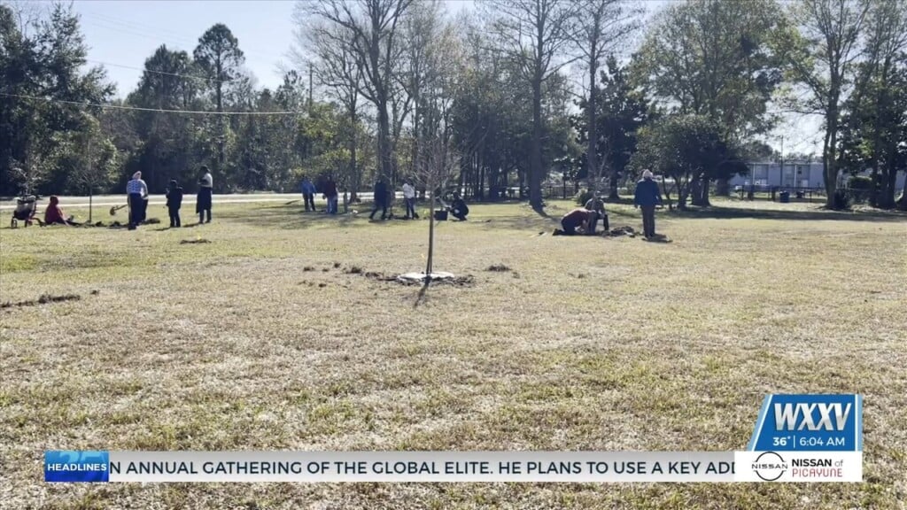 Annual Mlk Day Of Service Planting Project