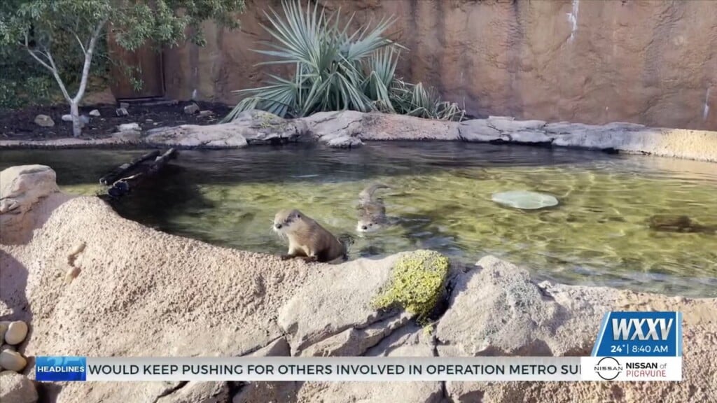 Mississippi Aquarium Preps Animals For Cold Weather
