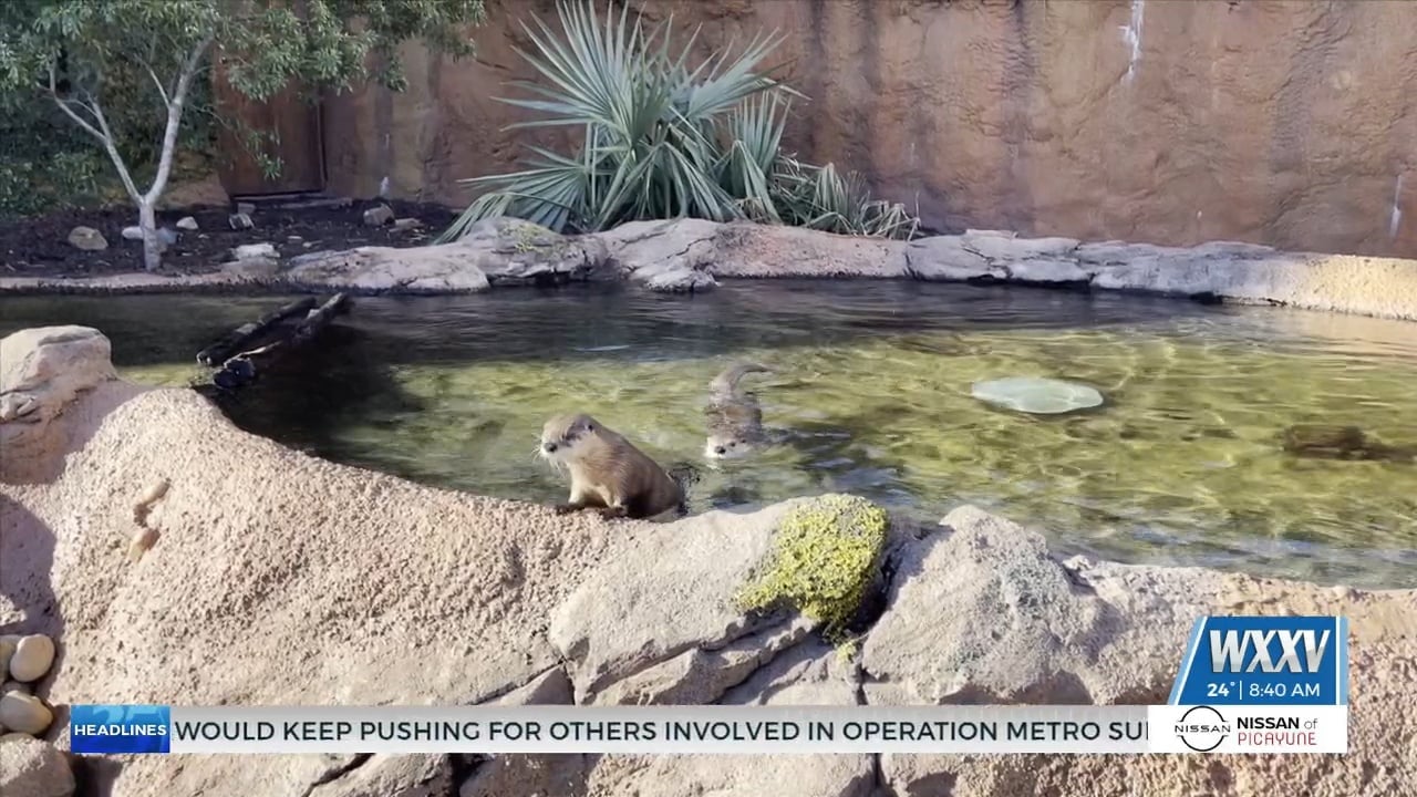 Mississippi Aquarium preps animals for cold weather