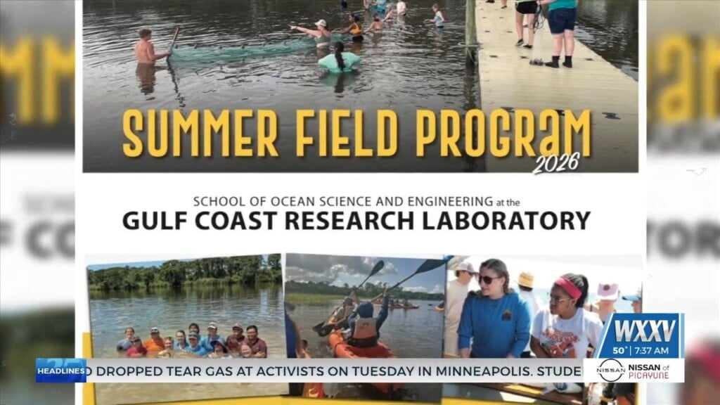 Gulf Coast Research Lab Looking For Interns For Summer Program