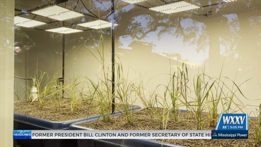 Lynn Meadows Discovery Center Opens Aquaculture Exhibit