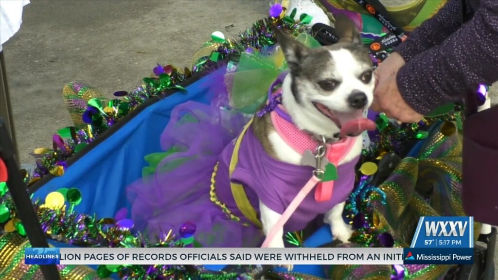 Krewe Of Barkloxi Rolls Sunday