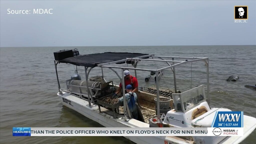 South Mississippi Oyster Growers Hopeful For New Legislation