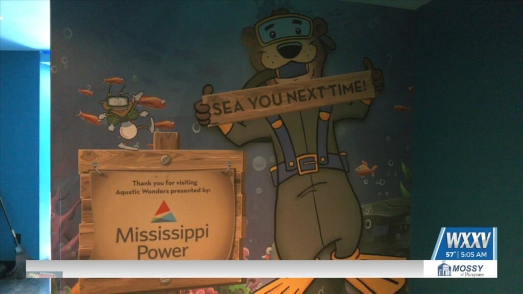 Mississippi Power Teams Up With Mississippi Aquarium For Discovery Days