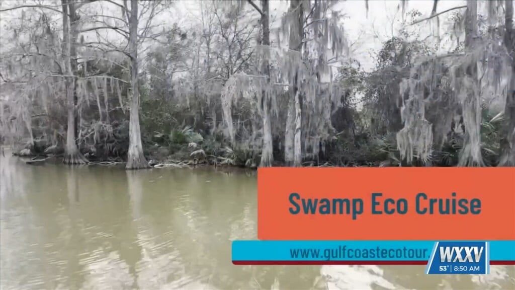 Gulf Coast Eco Tour 2026 Season Begins Soon