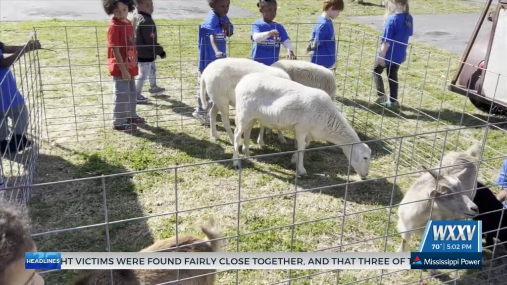 The Farm Comes To Applegate Early Learning Center In Biloxi