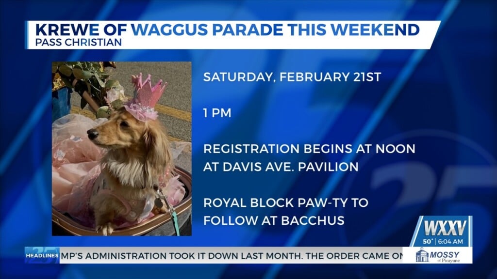 Krewe Of Waggus Parade Rolls This Weekend