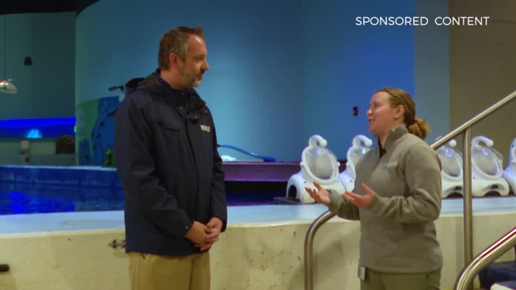 Wild Wonders Seatrek Helmet Diving