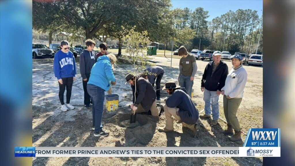 City Of Ocean Springs Holds Annual Arbor Day Tree Giveaway
