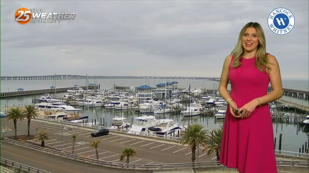 2/26 Warm & Partly Cloudy Afternoon