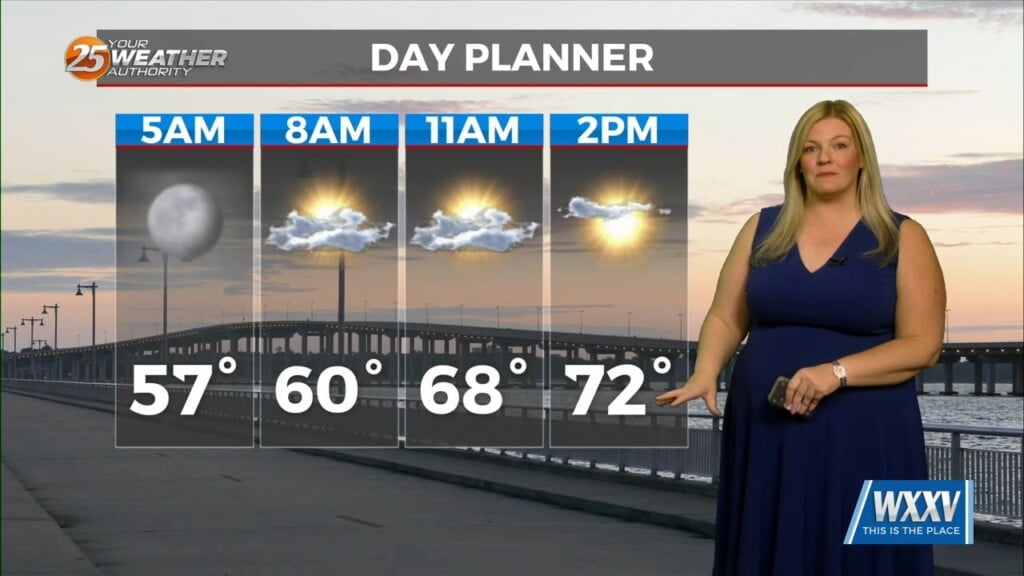 Foggy And Warm Wednesday