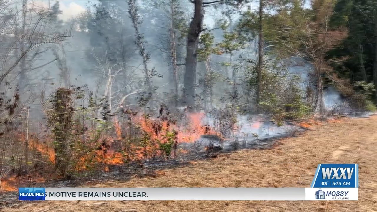 Prescribed burn happening in Jackson County - WXXV News 25