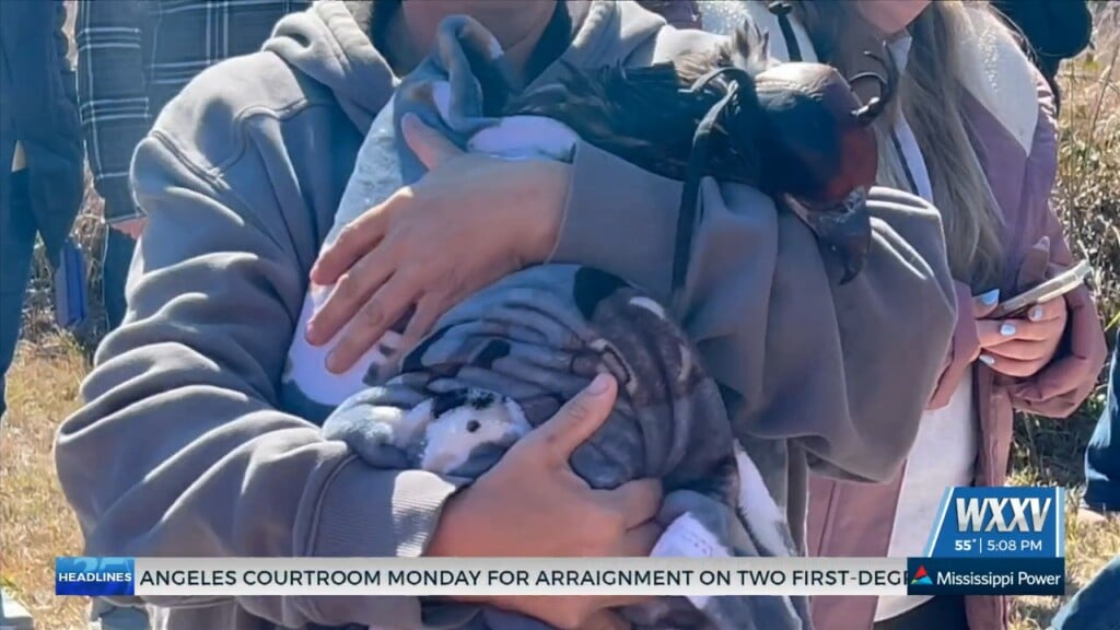 Mississippi State, Mississippi Power Team Up For Eaglet Tagging Project
