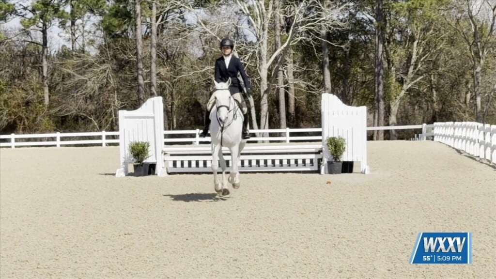 Gulf Coast Winter Classics In Full Swing At Harrison County Fairgrounds